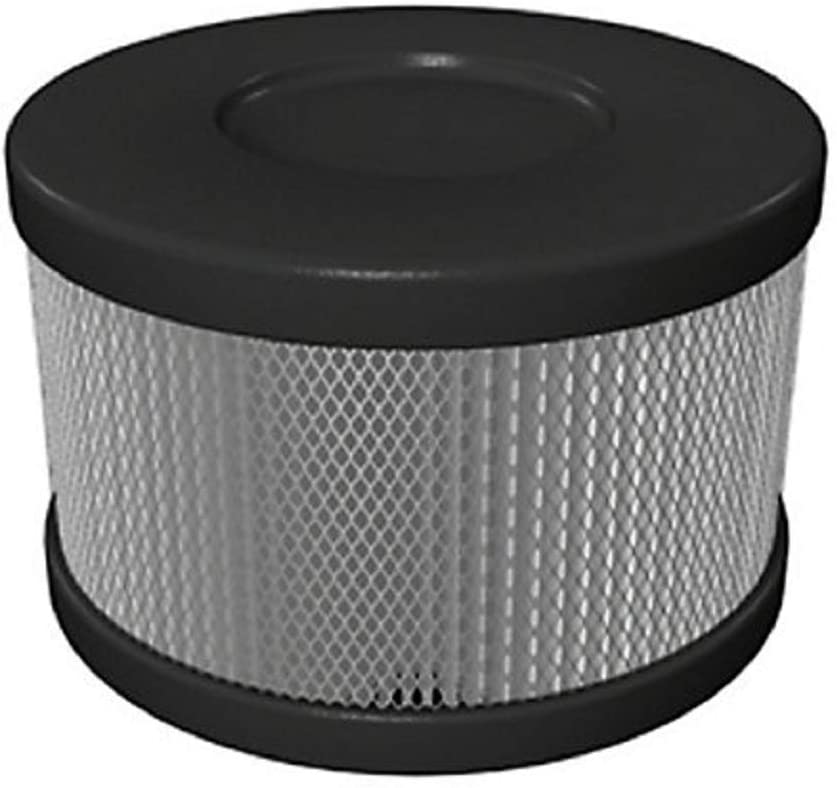 Filtre de remplacement HEPA à encliqueter Roomaid pour purificateur d'air